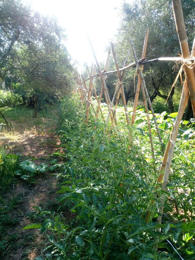Az.Agricola Agriturismo La Locanda Di Lann Apartment Фучекио Екстериор снимка